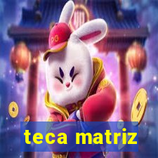 teca matriz